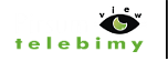 PIRSUM VIEW Logo